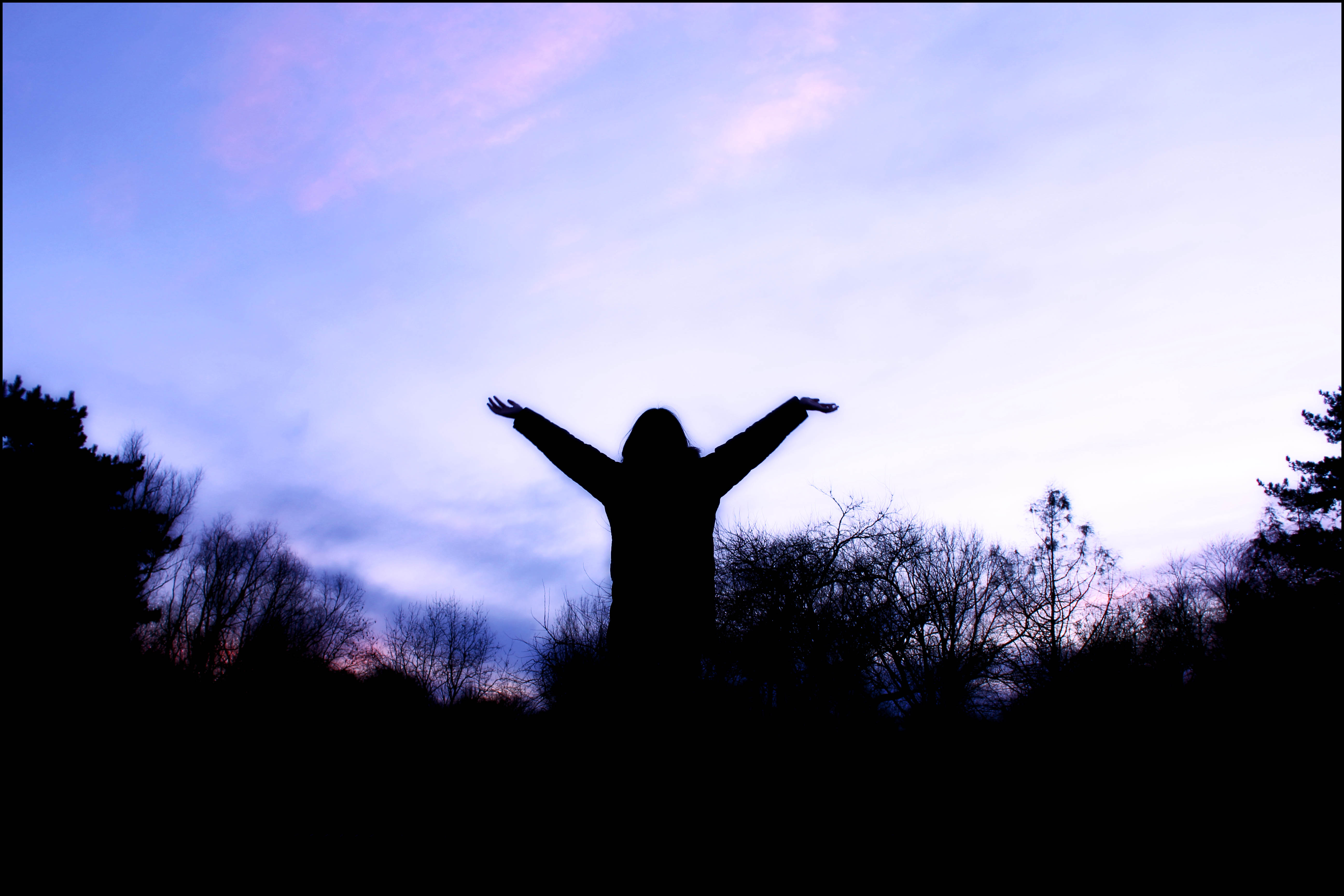 kitties end of the world